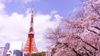Hà Nội - Nhật Bản: Tokyo - Phú Sĩ - Kyoto - Osaka 6N5Đ