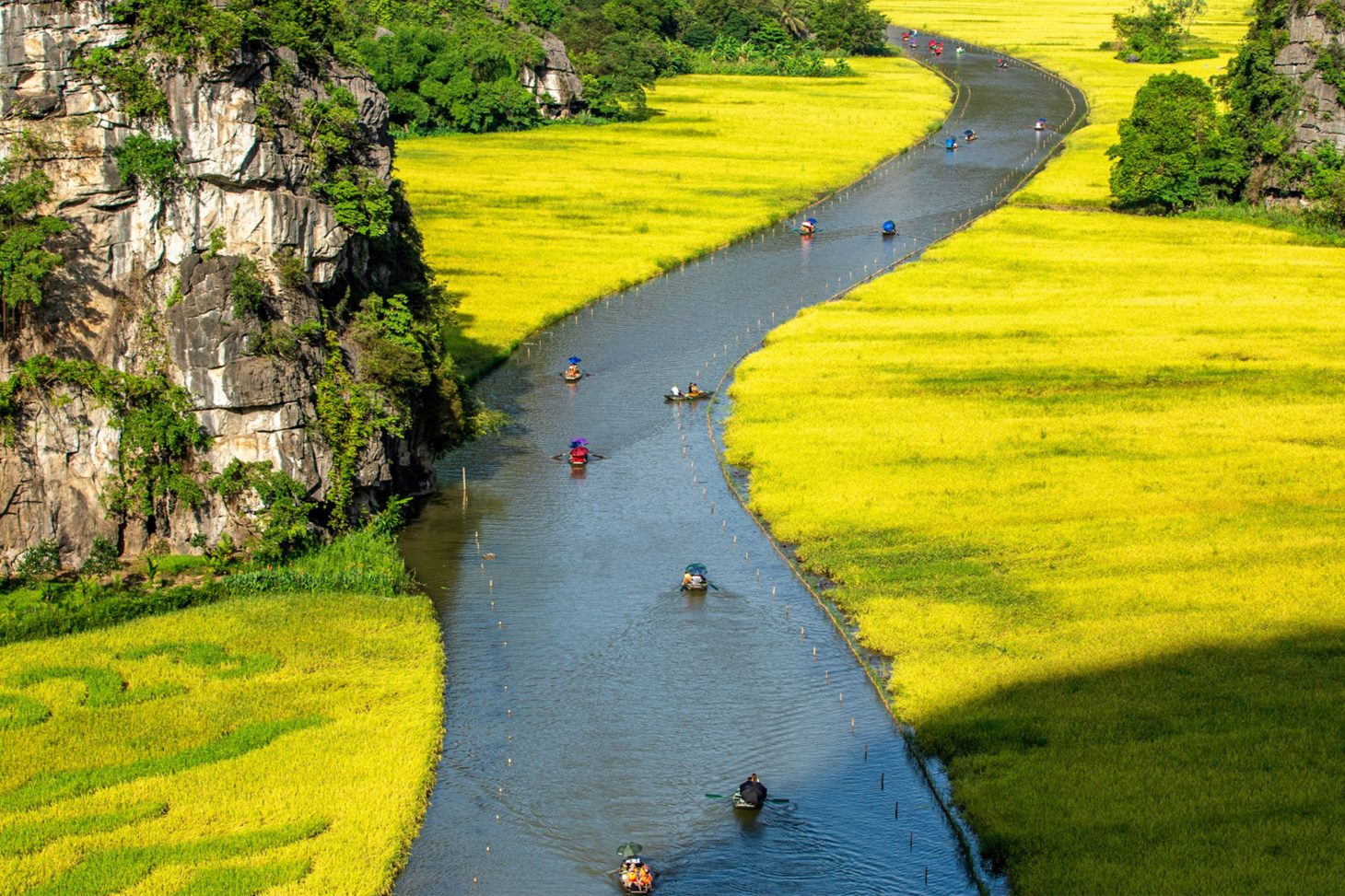 Ninh Binh Day Trip (Tam  Coc - Hoa Lu) (NB1A)