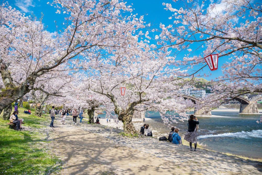 Hà Nội - Nhật Bản CĐV: Osaka - Kyoyo - Phú Sĩ - Tokyo 6N5D VNA Tết Nguyên Đán 2026