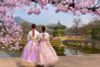 Tour Hàn Quốc mùa hoa anh đào: Hà Nội - Seoul - Nami - Hái dâu -  Everland 5N4D Tháng 03, 4/2026