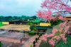 Da Nang - Hoi An - Hue Tour Package – 5 Days 4 Nights (DAD5A)