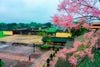 Da Nang – Hoi An – Hue – Quang Binh Tour Package – 6D5N (DAD6B) (Price applied from 26 April to 30 Sep 2026)