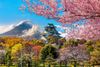 Hà Nội - Nhật Bản: Tokyo - Phú Sĩ - Kyoto - Osaka 6N5Đ