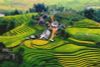 HANOI - SAPA 河內 – 沙壩  3天2夜