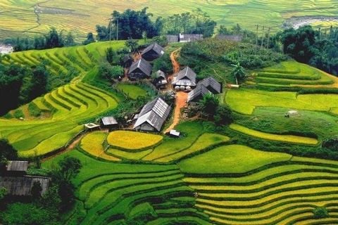 HANOI - SAPA - HALONG - NINH BINH 河內 沙壩 雙龍灣 6天5夜