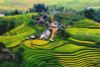 6-Day Northern Vietnam Tour: Sapa, Hanoi, Ha Long & Ninh Binh Exploration - M Gallery Sapa (SPH6A)