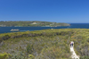 Sydney - Melbourne: Khám phá xứ sở chuột túi 13N12Đ, khởi hành từ Hà Nội bay VNA