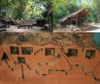 Ho Chi Minh - Cu Chi Day Tour (HCM1B)