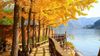 Hà Nội - Hàn Quốc: Busan – Jinhae - Du Thuyền 5*-  Tàu ven biển – Seoul – Sauna – Nami – Công viên Yeouido 6N5Đ