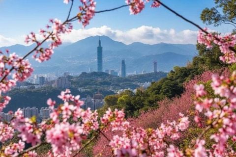 Hà Nội - Đài Loan: Đài Bắc - Đài Trung - Nam Đầu - Gia Nghĩa - Cao Hùng 5N4D China Airlines