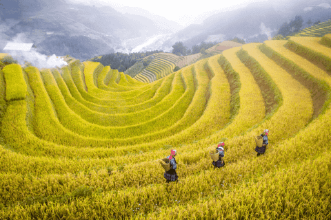 6-Day Northern Vietnam Tour: Sapa, Hanoi, Ha Long & Ninh Binh Exploration - M Gallery Sapa (SPH6A)