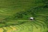 SAPA 14 GỢI Ý DU LỊCH