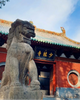 (20/10/2026) Hà Nội - Tây An - Trịnh Châu - Lạc Dương 7N6Đ CZ