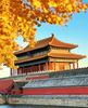 Visa Trung Quốc