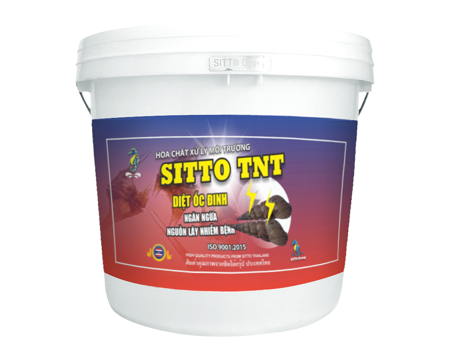  SITTO TNT (Xô 1kg) 