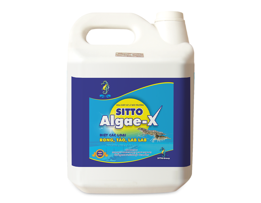  SITTO ALGAE-X (Can 5L) 