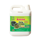  Phân bón lá AMINE 