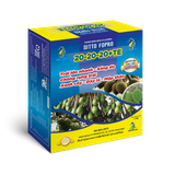  Phân bón lá Sitto FOPRO 20-20-20+TE (Hộp 1kg) 