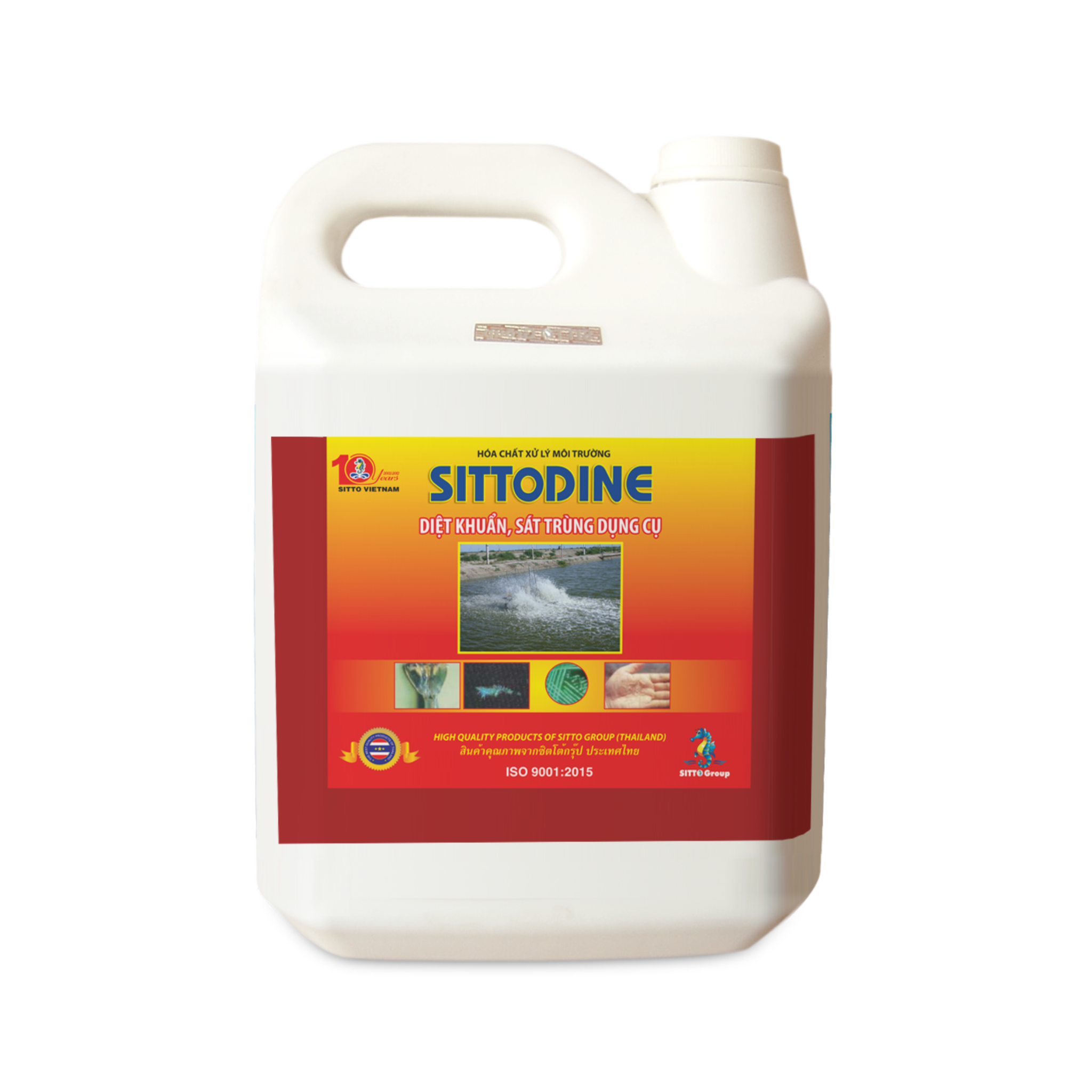  SITTODINE 5L 