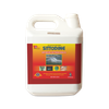  SITTODINE 5L 