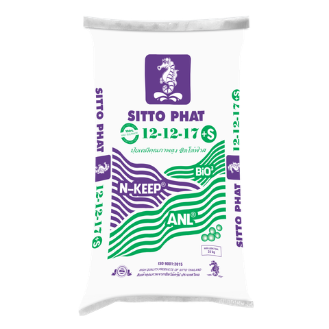 NPK SITTO PHAT 1 MÀU