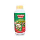  SITTO TINCTURE BIOCLEAN (chai 500ml) 