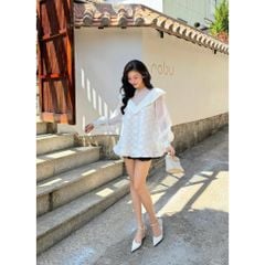 Áo Nữ Babydoll Tay Dài Bồng Nữ Tính Thanh Lịch - FERNA TOP - GOÛT DE JUN