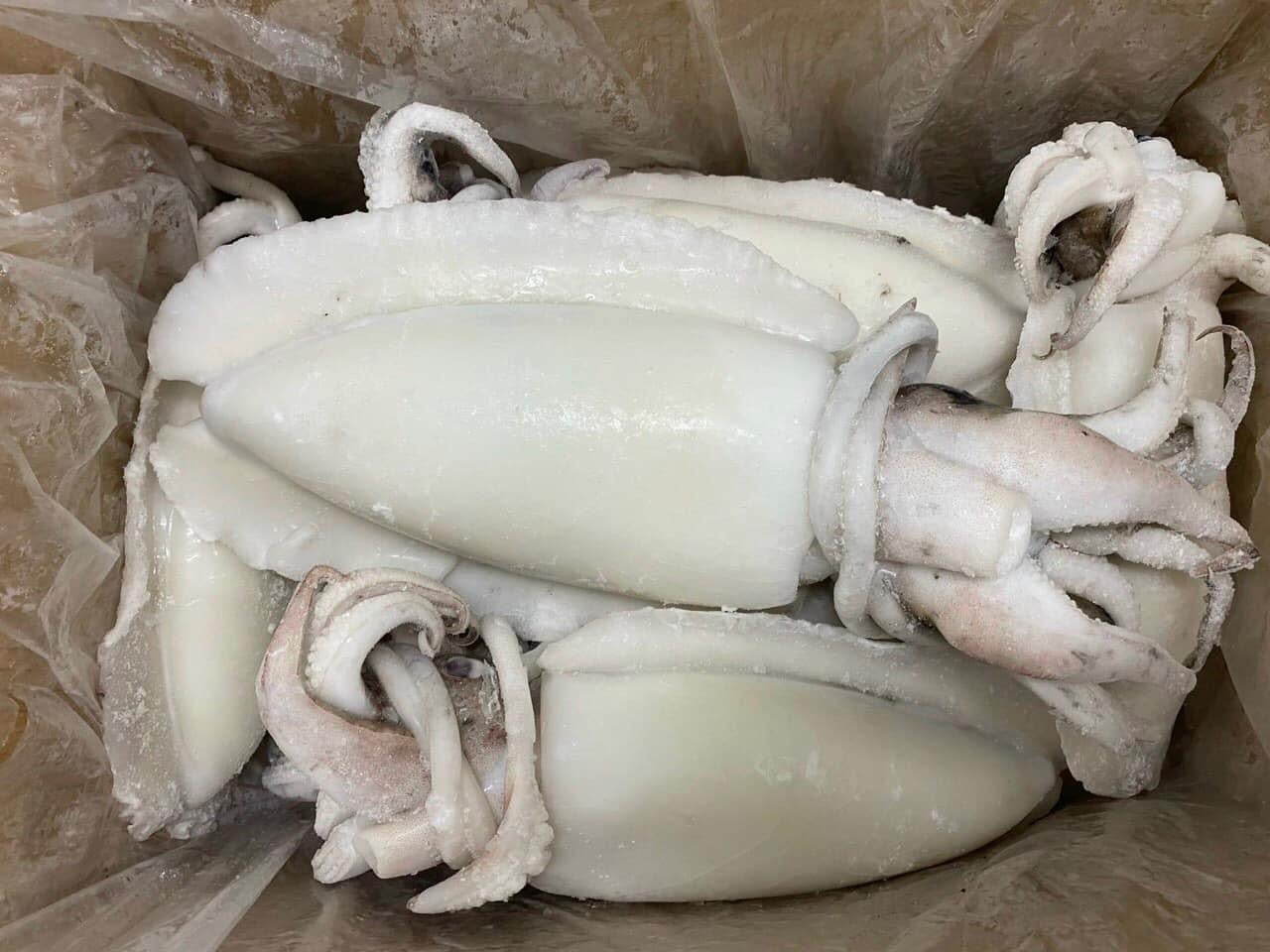 Mực nang làm sạch 1-2kg