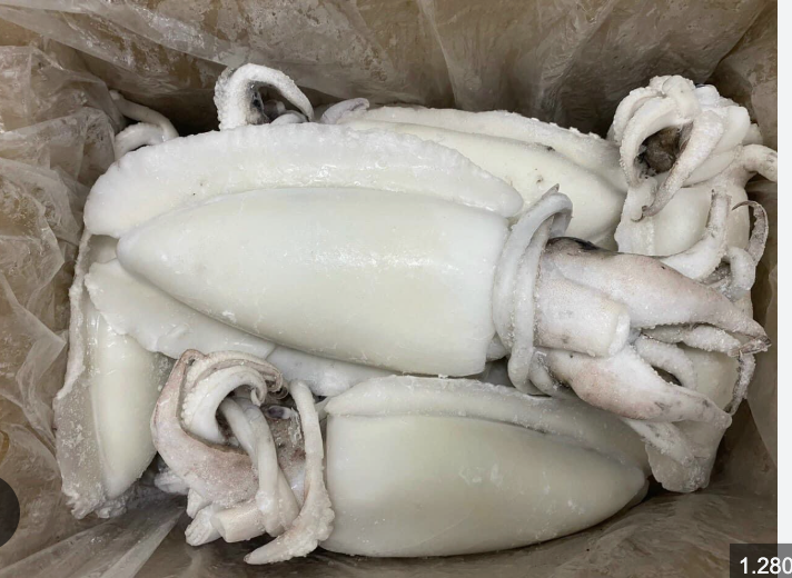 Mực nang làm sạch 500/700-12kg