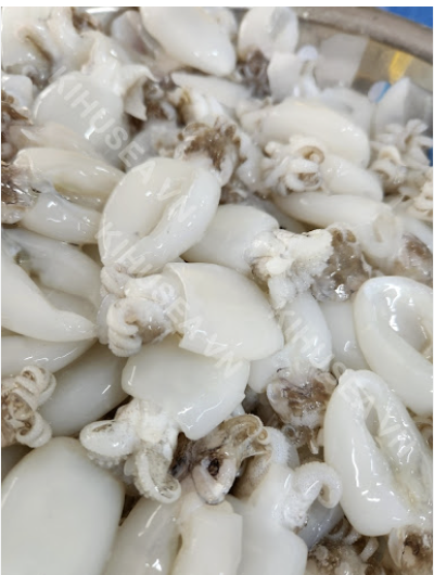 Mực baby làm sạch 20/40-10kg