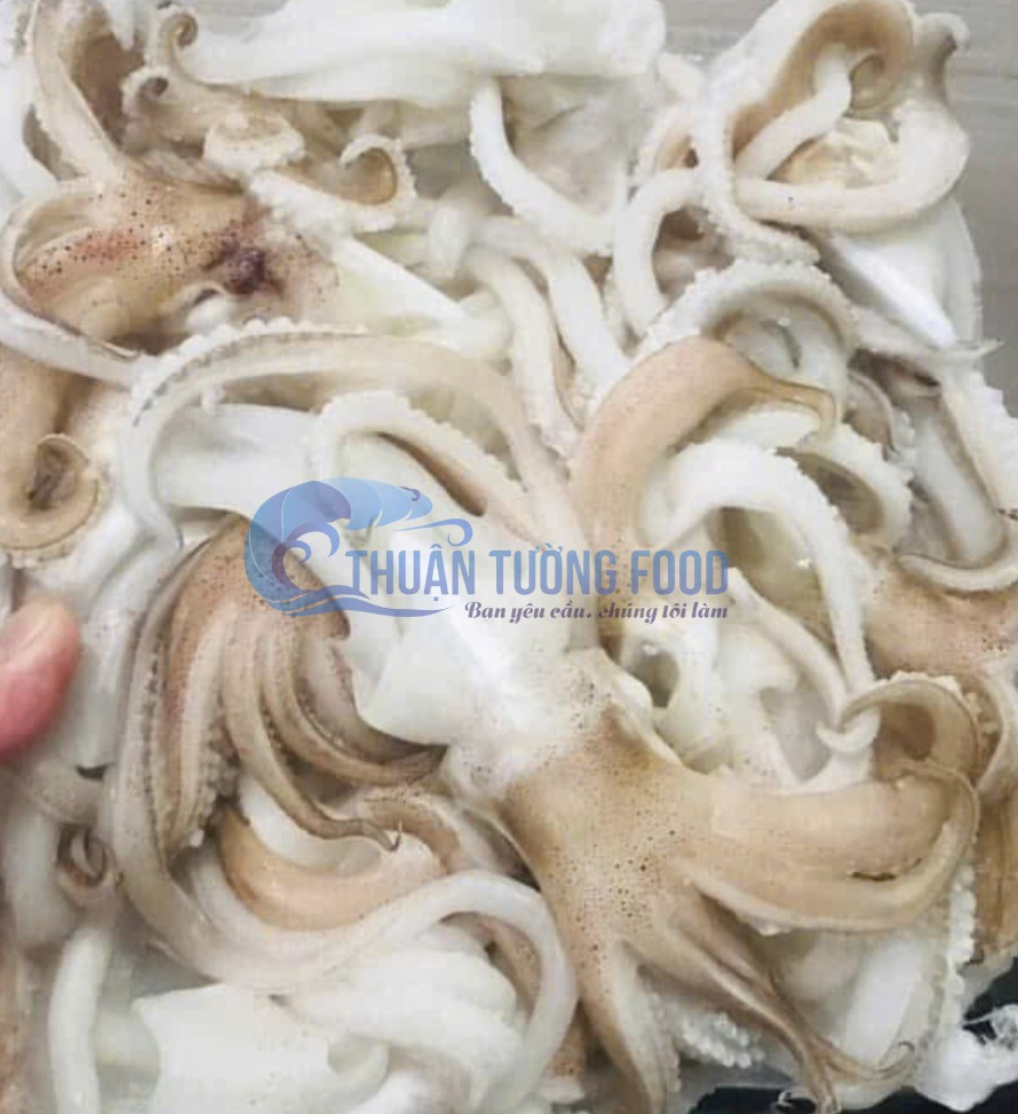 Đầu mực ống nha trang