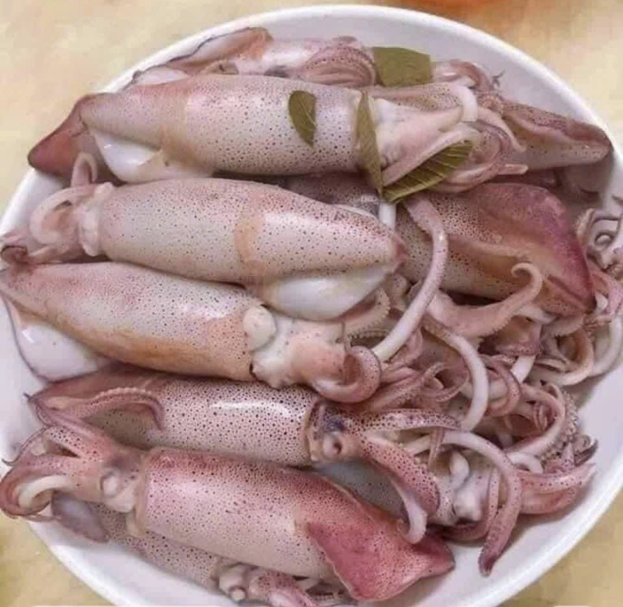 Mực Trứng
