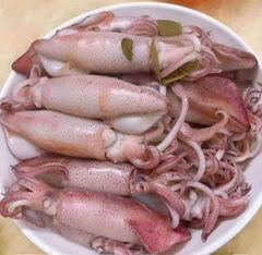 Mực Trứng