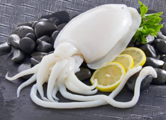 Mực nang làm sạch 500/700-12kg