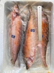 Cá thát lát rút xương L1 - 250gr