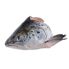 Đầu cá hồi [ Salmon ] 400+ (10kg)
