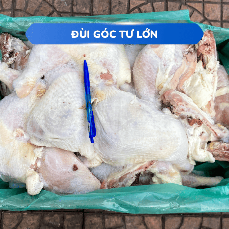 Đùi góc tư lớn 18,14kg