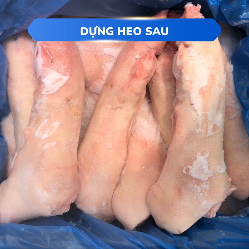 Dựng sau-Khoanh