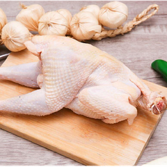 Gà dai Nhập Khẩu Hàn Quốc - MC