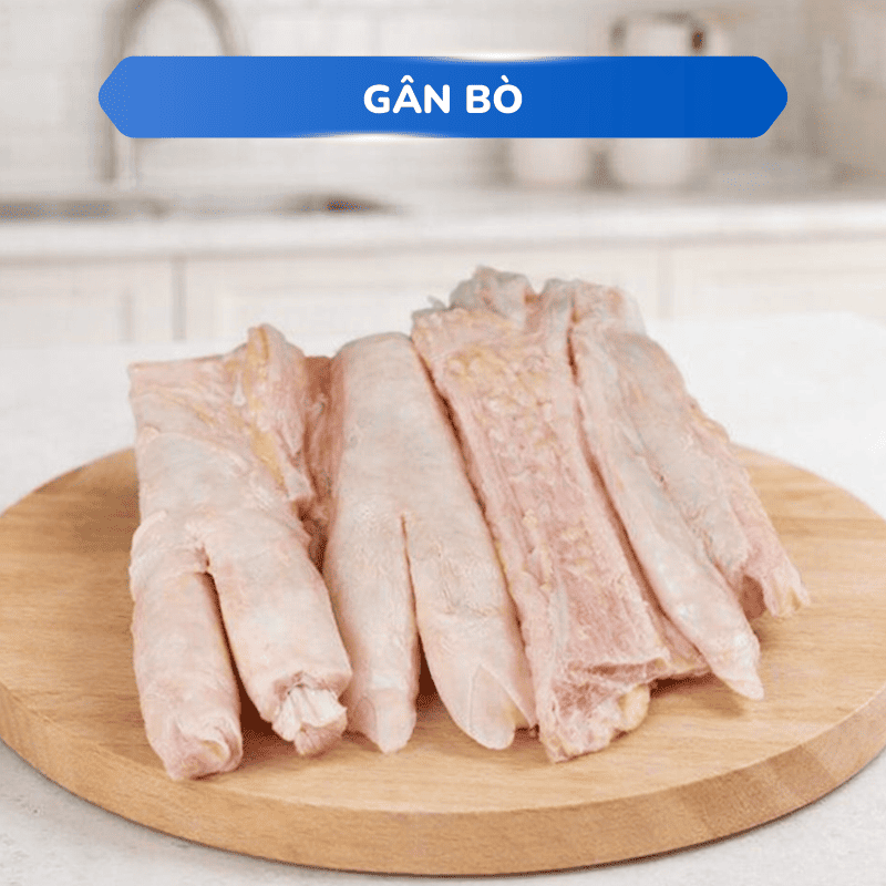 Gân bò