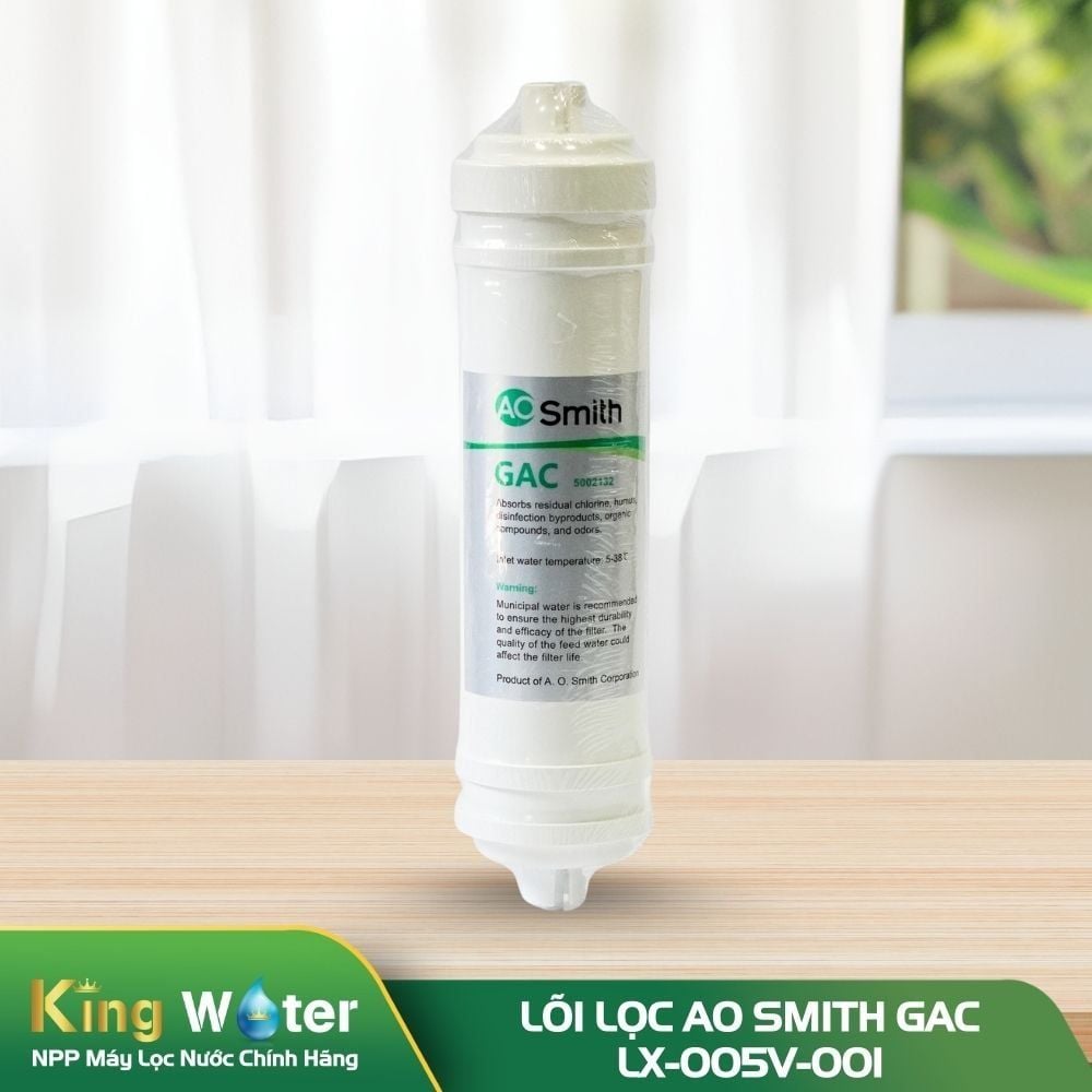 Lõi lọc AO Smith GAC | LX-005V-001