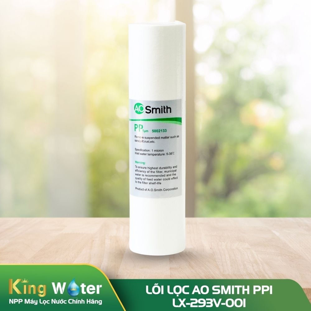 Lõi lọc số 3 AO Smith PP1 | LX-293V-001