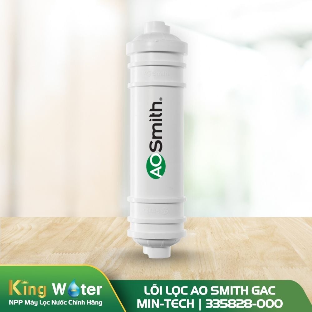 Lõi lọc AO Smith GAC Min-Tech | 335828-000