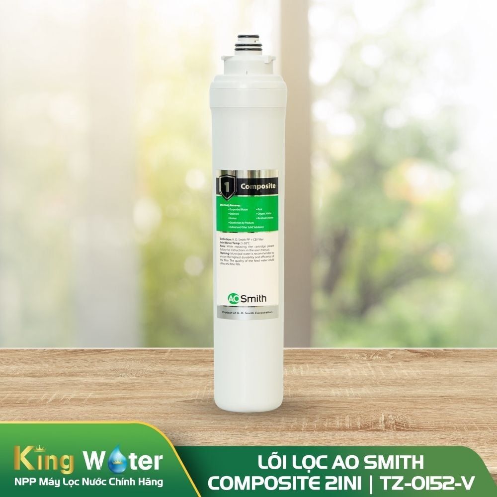 Lõi lọc số 1 AO Smith Composite 2in1 | TZ-0152-V