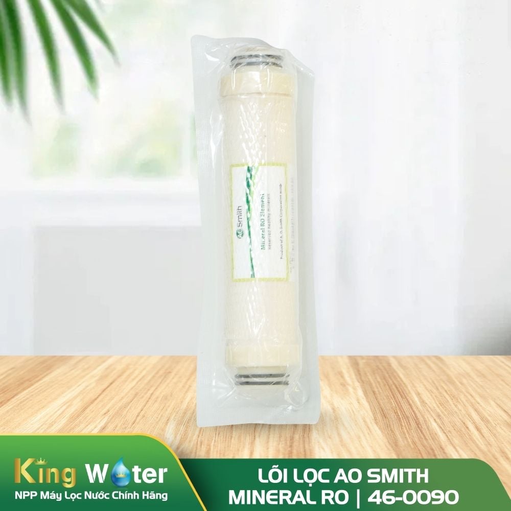 Lõi lọc số 4 AO Smith Mineral RO | 46-0090