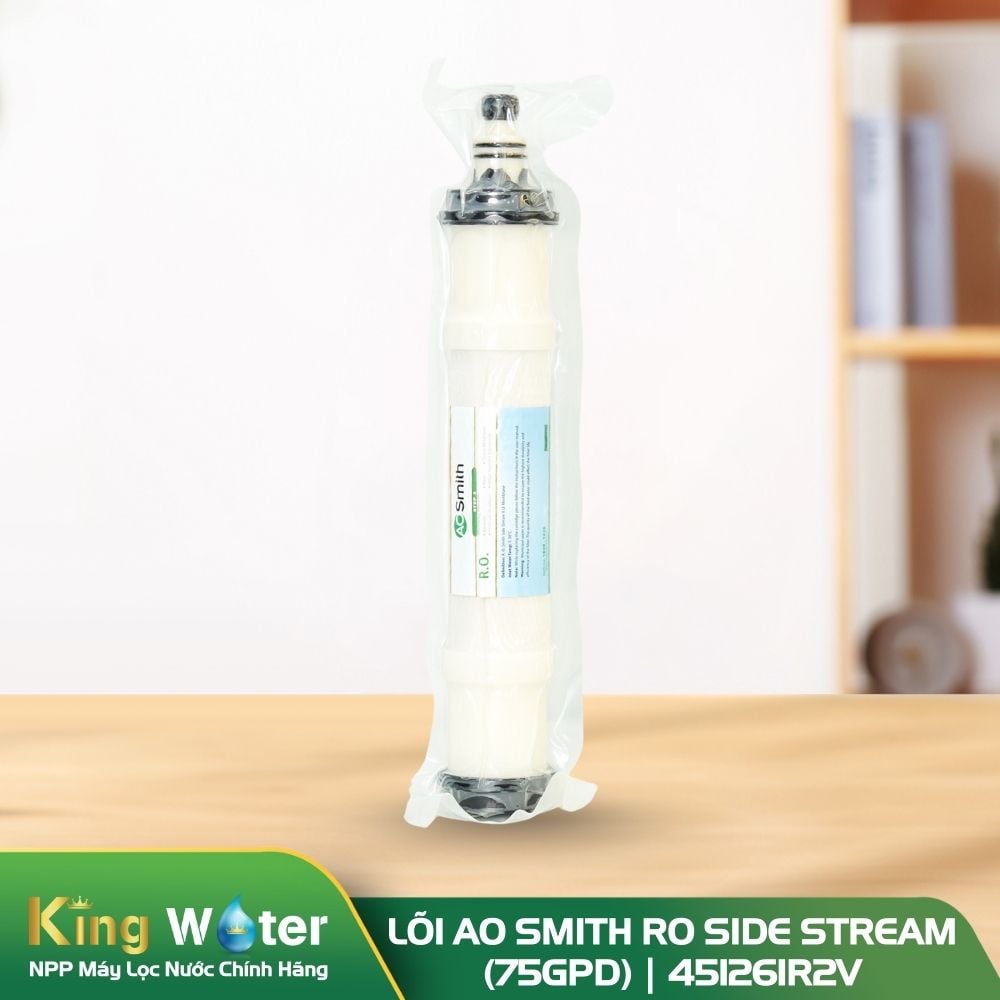 Lõi lọc số 3 AO Smith RO Side Stream (75GPD) | 451261R2V