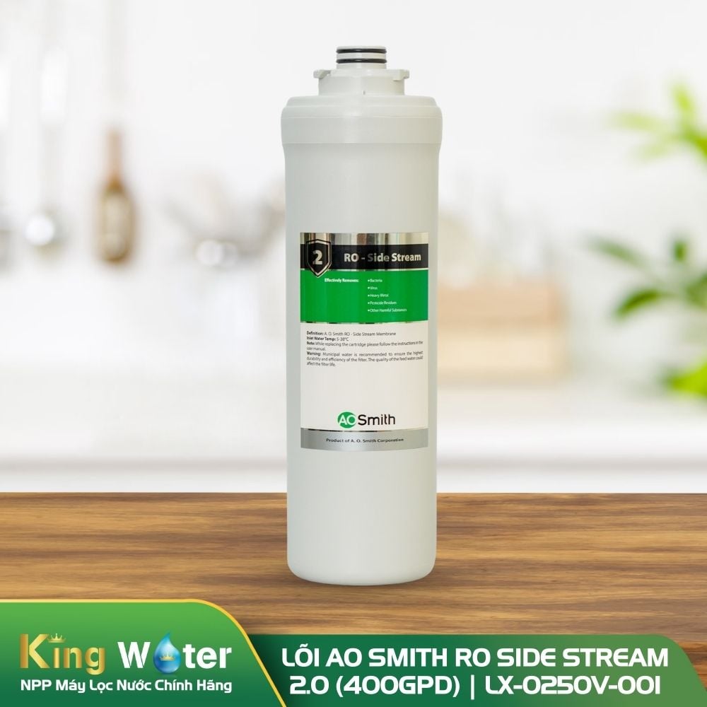Lõi lọc số 2 AO Smith RO side stream 2.0 (400GPD) | LX-0250V-001