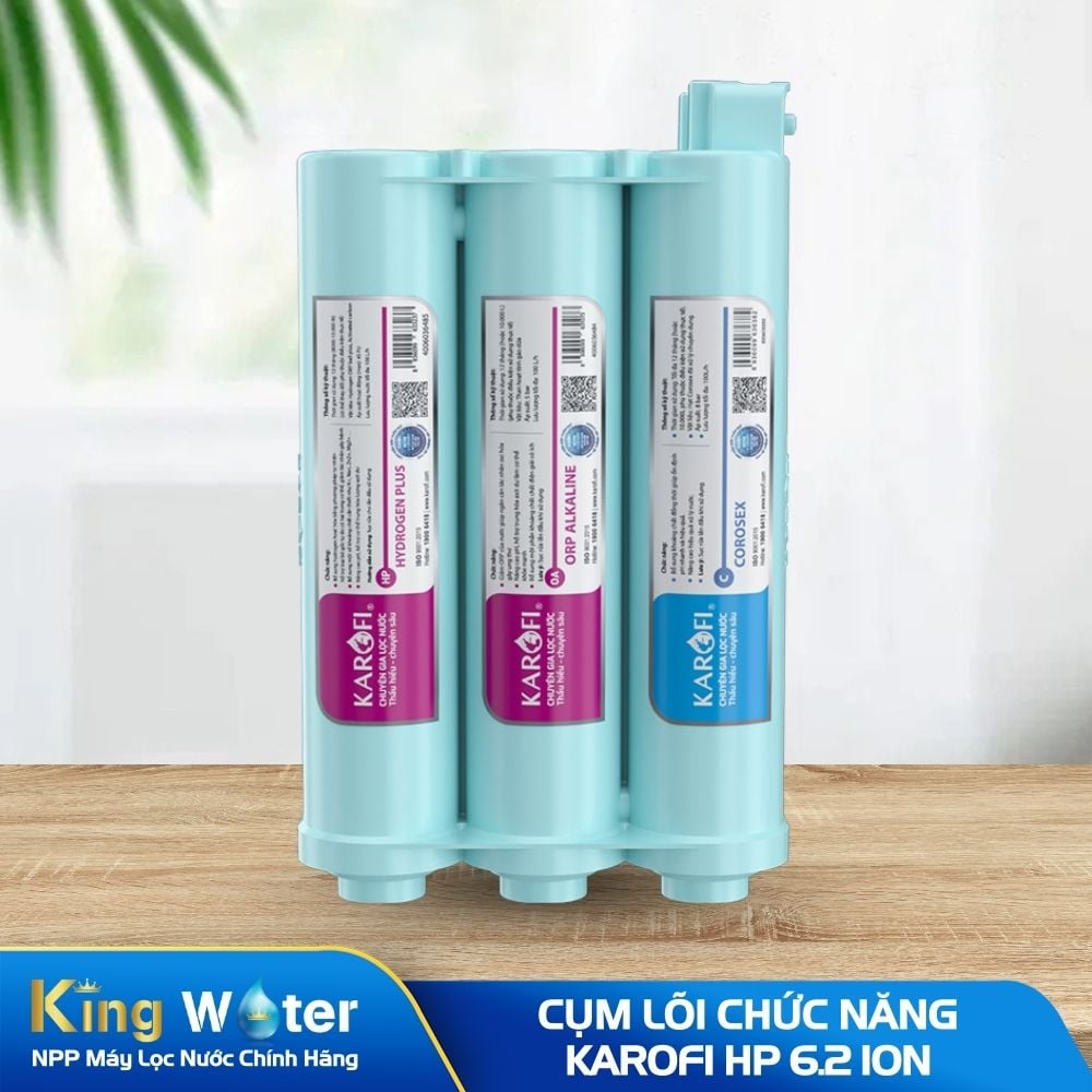 Bộ Lõi Chức Năng Karofi HP 6.2 ION