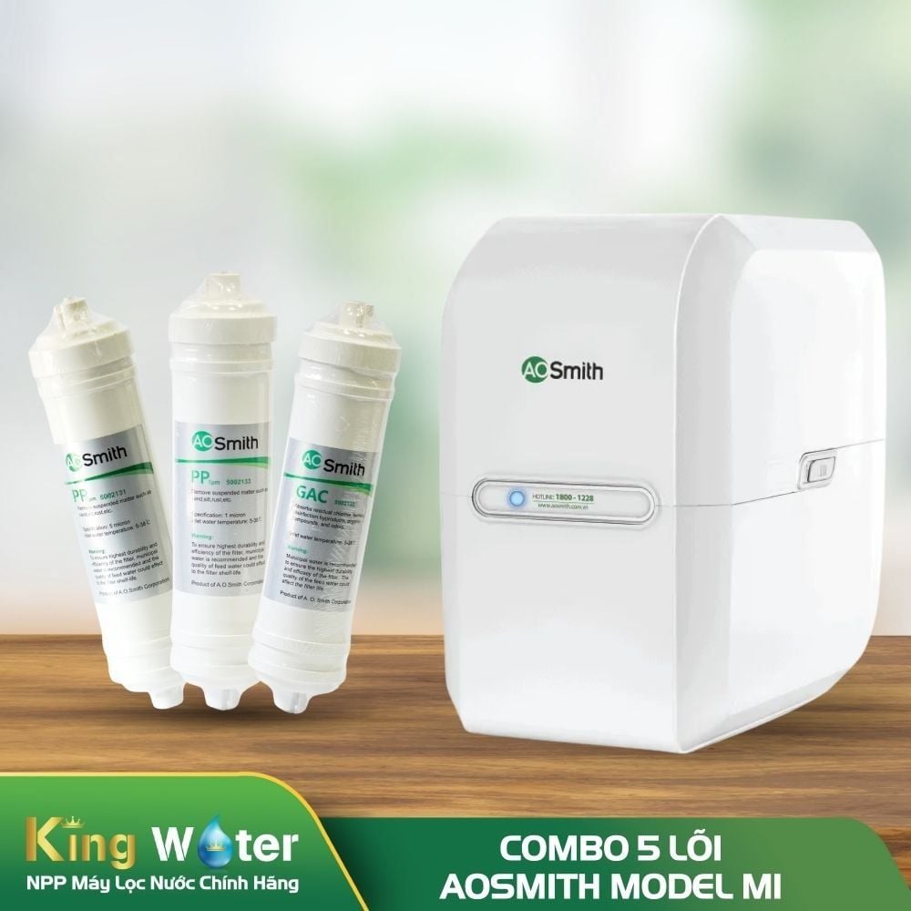 Combo 5 Lõi Lọc Nước AO Smith M1