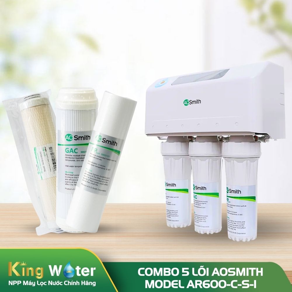 Combo 5 Lõi Lọc Nước AO Smith AR600-C-S-1